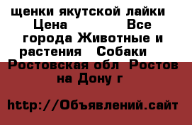 щенки якутской лайки › Цена ­ 15 000 - Все города Животные и растения » Собаки   . Ростовская обл.,Ростов-на-Дону г.